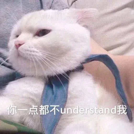 Cat meme - Sticker 17