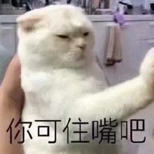 Cat meme - Sticker 24