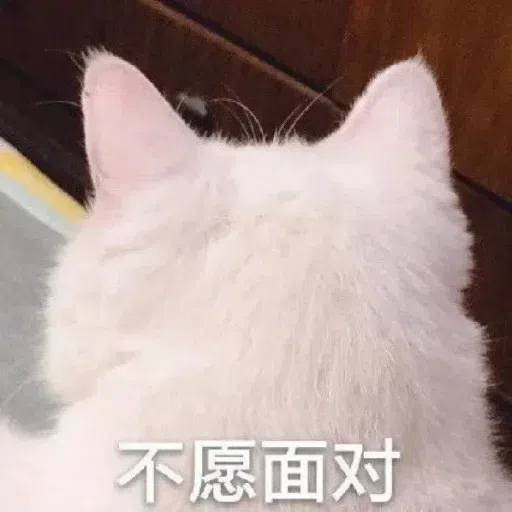 Cat meme - Sticker 14