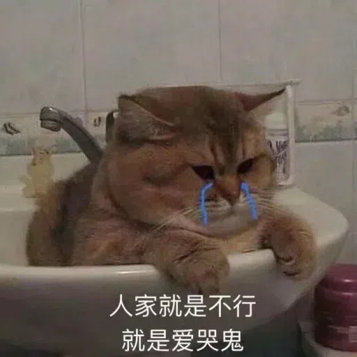 Cat meme - Sticker 10