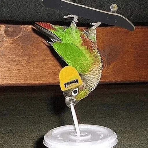 birbs - Sticker 14