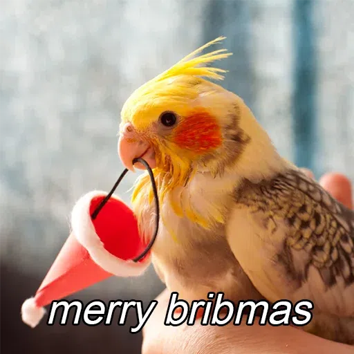 birbs - Sticker 11