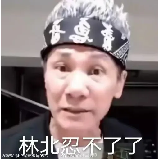 会飞的orang utan - Sticker 12