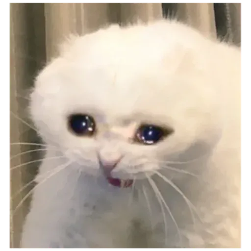 Reaction - Sticker 14