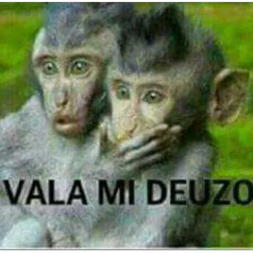 Memeando - Sticker 12