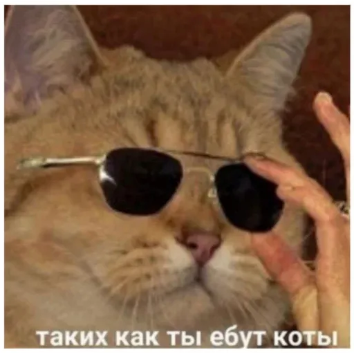 УЕБЕНКС - Sticker 17