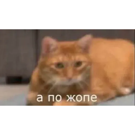 УЕБЕНКС - Sticker 14
