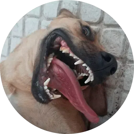 Stickers free - Sticker 24