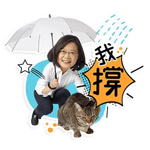 何lin源老婆蔡英 - Sticker 10