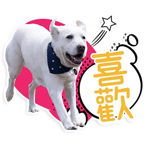 何lin源老婆蔡英 - Sticker 16