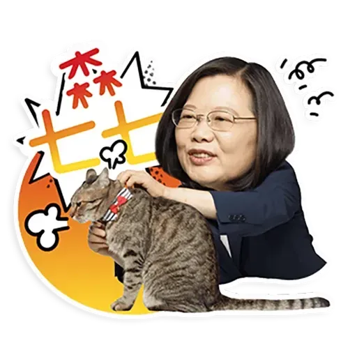 何lin源老婆蔡英 - Sticker 17