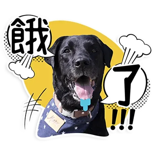 何lin源老婆蔡英 - Sticker 20