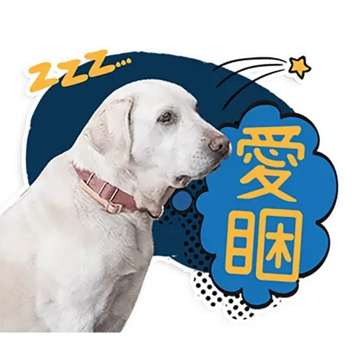 何lin源老婆蔡英 - Sticker 24