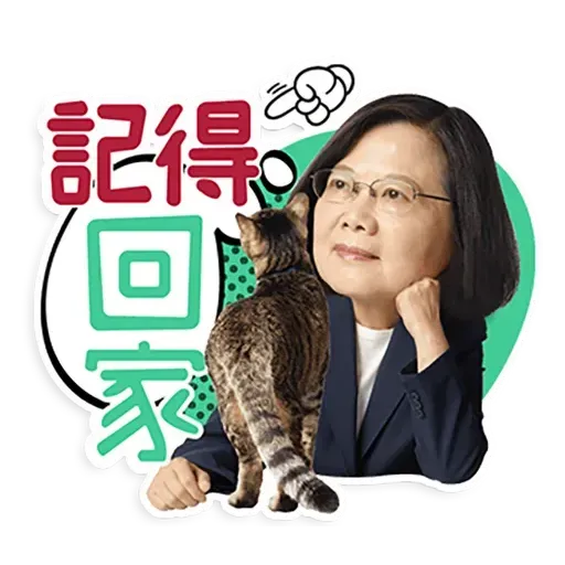 何lin源老婆蔡英 - Sticker 14