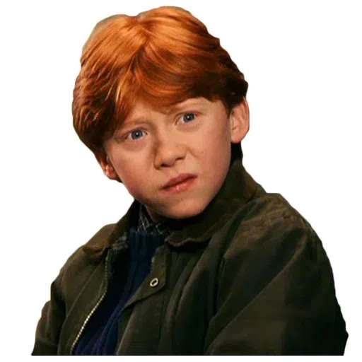 Harry potter - Sticker