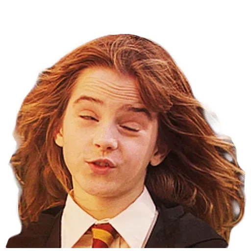 Harry potter - Sticker 13