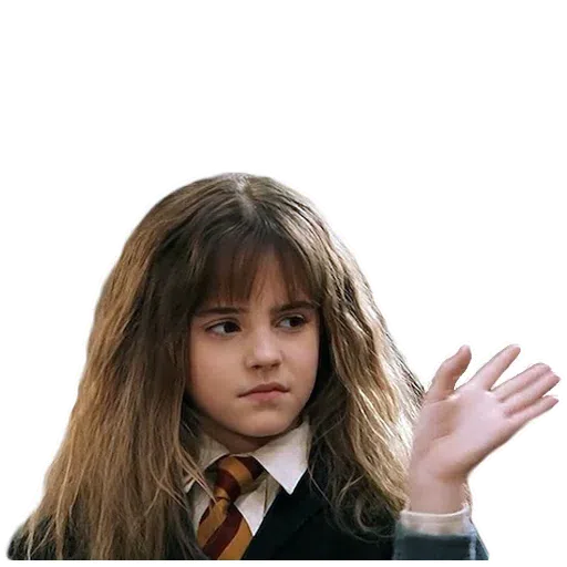 Harry potter - Sticker