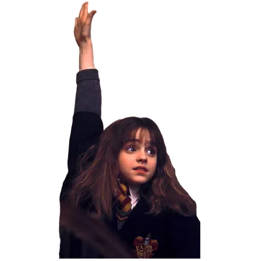 Harry potter - Sticker 15