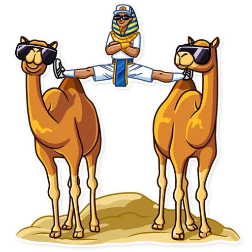 Vaddidas - Sticker 25