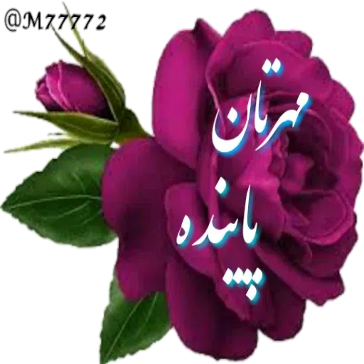 نوشته های طلایی - Sticker 28
