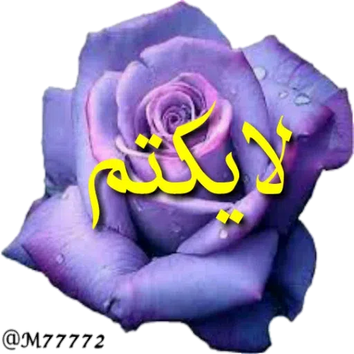 نوشته های طلایی - Sticker 30