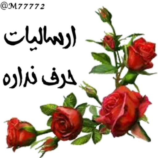 نوشته های طلایی - Sticker 12