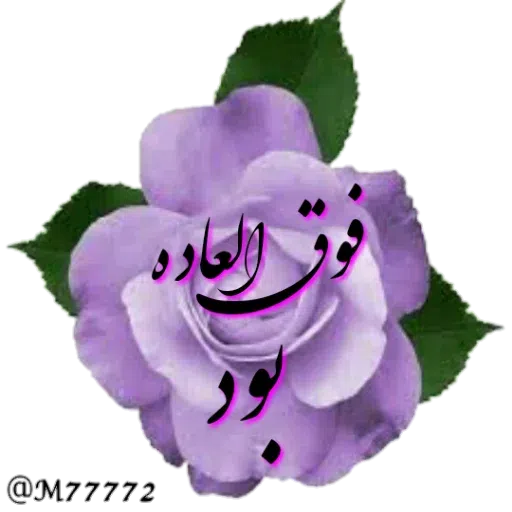 نوشته های طلایی - Sticker 23