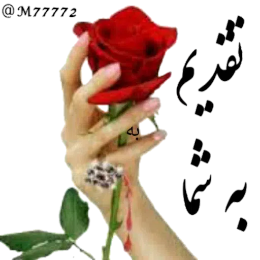 نوشته های طلایی - Sticker 19