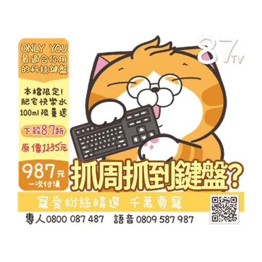 白爛貓☆金促咪☆係金A貼圖 - Sticker 19