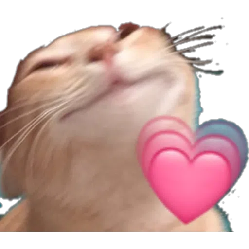 Stickers digo - Sticker 26