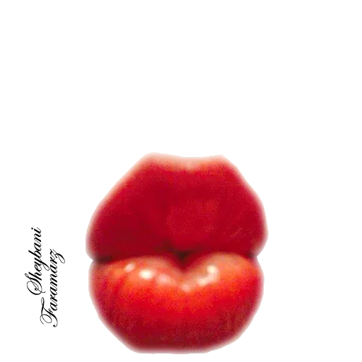 Gerdali - Sticker 12