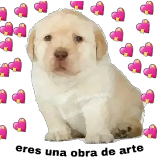 soft memes ¹ - Sticker 29