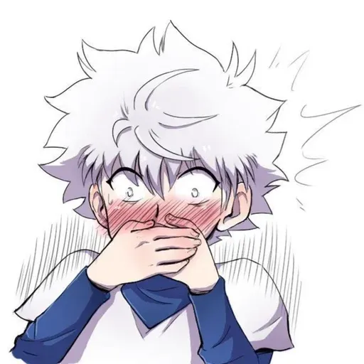 Hunter x hunter - Sticker 13