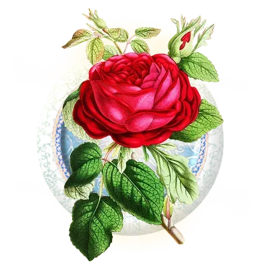 Persian2 - Sticker 15