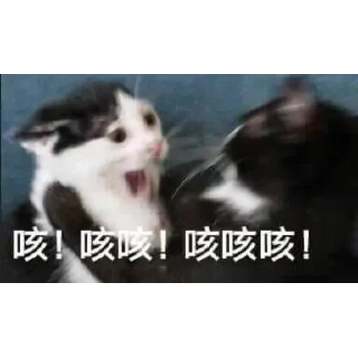 Wuhan pneumonia meme - Sticker 10