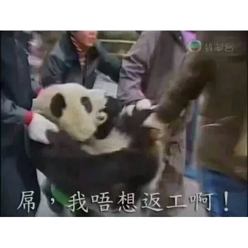 Wuhan pneumonia meme - Sticker 30