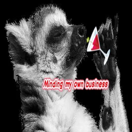 crazy  - Sticker 11