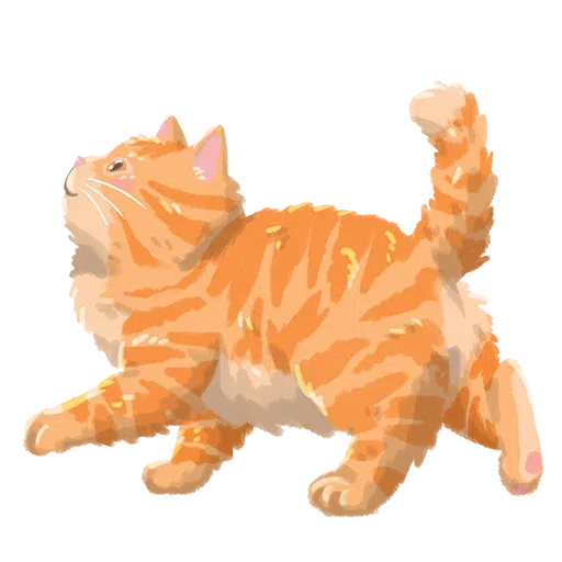 Chonky Orenji - Sticker 30