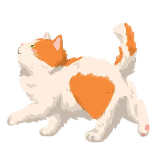 Chonky Orenji - Sticker 16