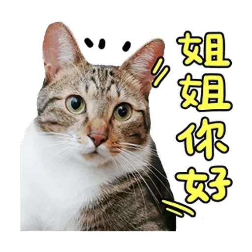 黃阿瑪 - Sticker 22