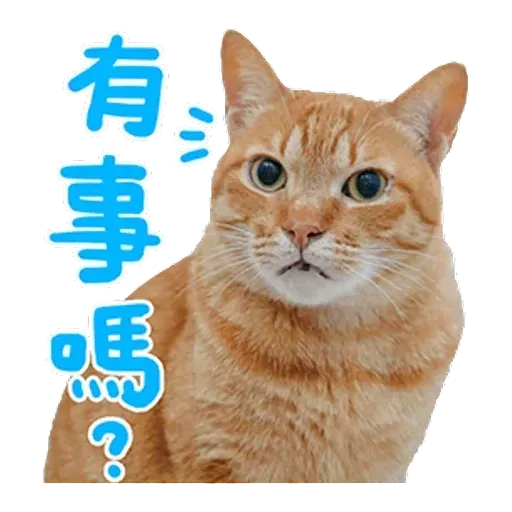 黃阿瑪 - Sticker 23