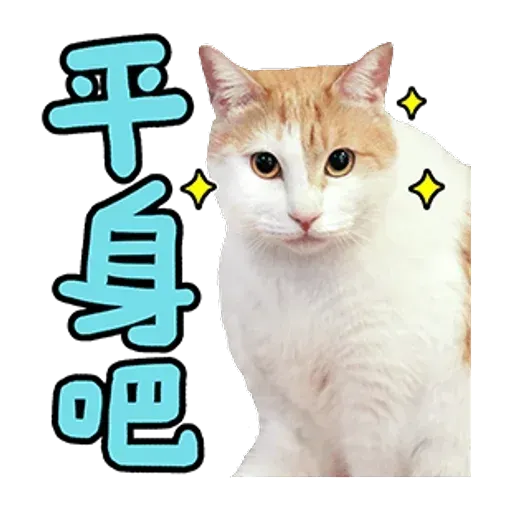 黃阿瑪 - Sticker 9