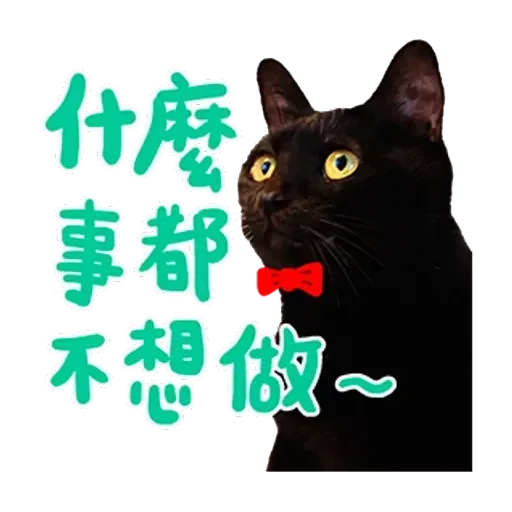 黃阿瑪 - Sticker 24