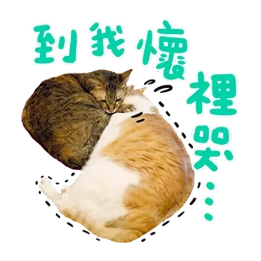 黃阿瑪 - Sticker 14