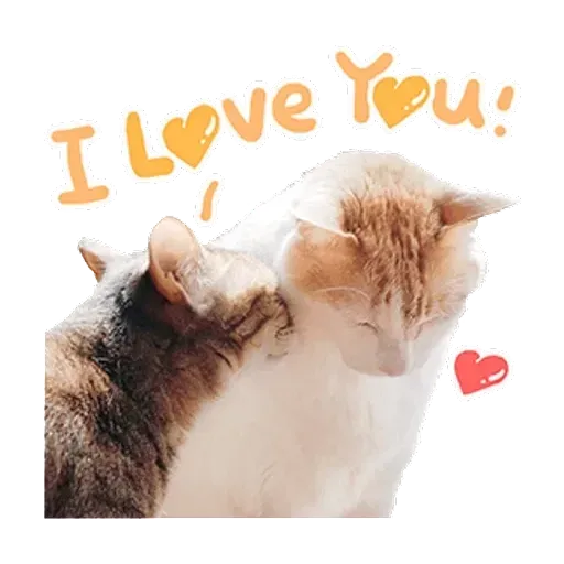 黃阿瑪 - Sticker 18