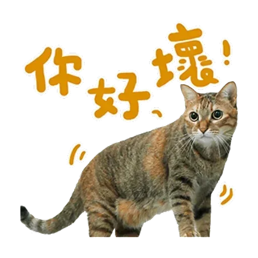 黃阿瑪 - Sticker 17