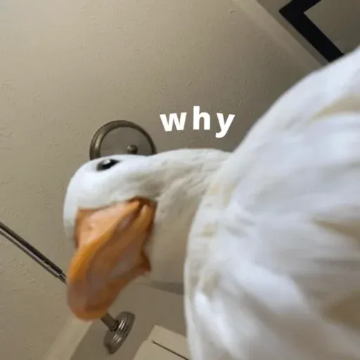 duck 2 - Sticker 20