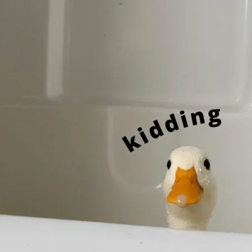 duck 2 - Sticker 19