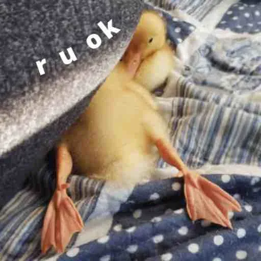 duck 2 - Sticker 29