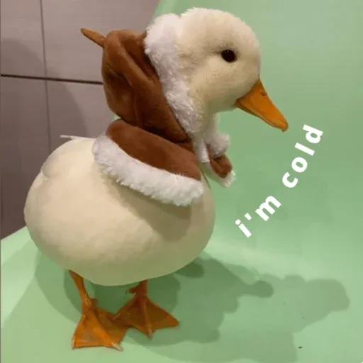 duck 2 - Sticker 11